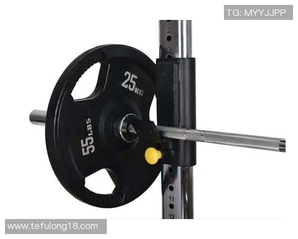 飞健身器材牌子产品性能及市场口碑综合评测